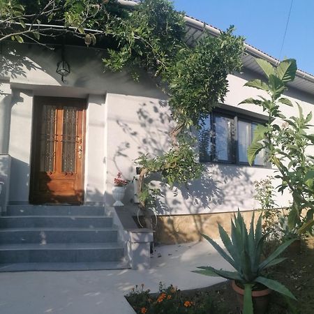 Casa Cu Trandafiri Villa Baia Mare Exterior photo