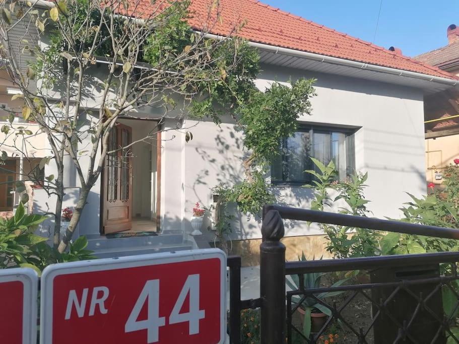 Casa Cu Trandafiri Villa Baia Mare Exterior photo